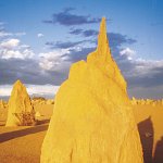 Several hundred miles north of Perth in Western Australia is an area known as the Pinnacles. Here, the land has eroded downwards, leaving standing some four thousand upright limestone formations, resisting the erosion. Reaching up to fifteen feet or more in height, each standing rock is a sculpture in its own right. The distinctive one in the foreground of the photograph, pointing upwards, is bathed in a golden light and is offered as an Easter picture to the readers. Jenny Hill, an Englishwoman, has lived some fifteen years in the Perth area. She is an artist and storyteller. Whilst standing amongst the Pinnacles she described the experience:  Soaring Clouds…  Wind pouring over naked earth… Ancient muscle of rock  In vibrant pulse…  Standing Upright…